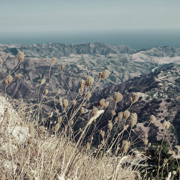 Campagna Calabria Guardavalle Marina