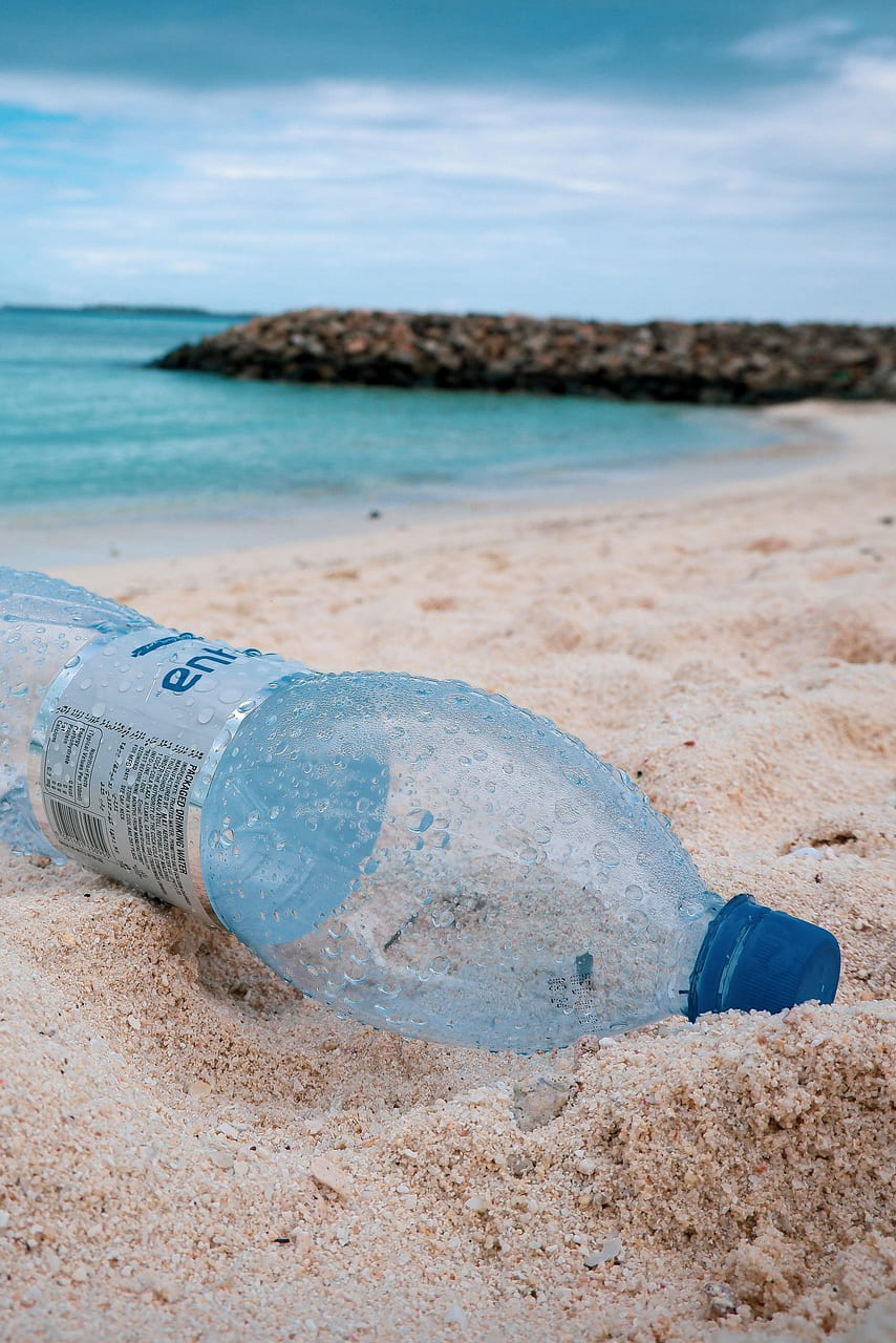 🍽️ Stai mangiando plastica. E viene dal tuo armadio